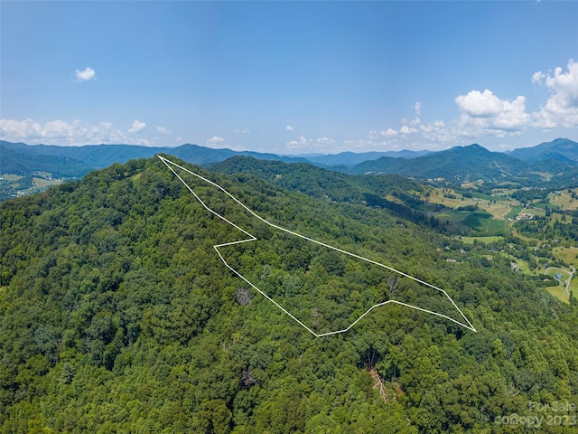 00 Frank Davis Rd, Waynesville NC, 28785 land for sale