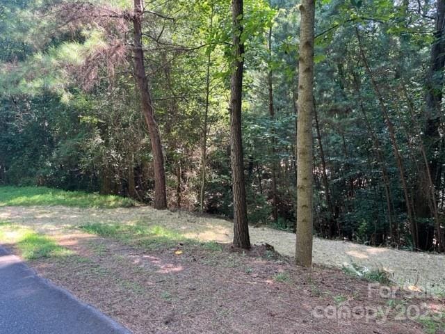 Listing photo 3 for 0000 Long Bay Dr, Granite Falls NC 28630