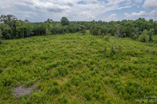 00 Horn Bottom Rd, Forest City, NC 28043
