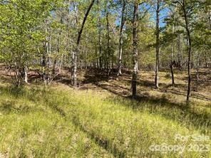 Listing photo 3 for 0000 Zackary Ln # 37, Rutherfordton NC 28139