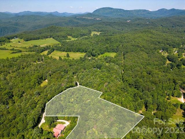 TBD Flat Ridge Dr, Lake Toxaway NC, 28747 land for sale