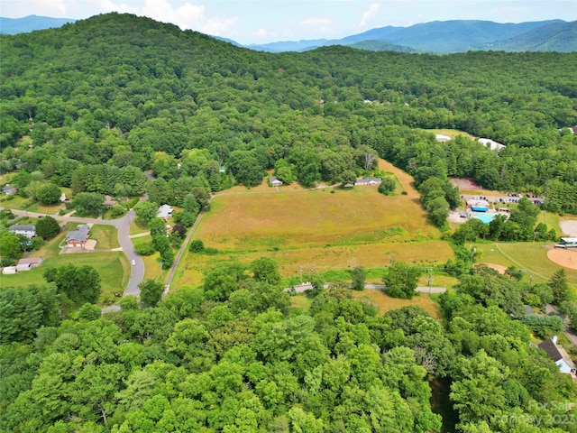 bird's eye view with a mountain view