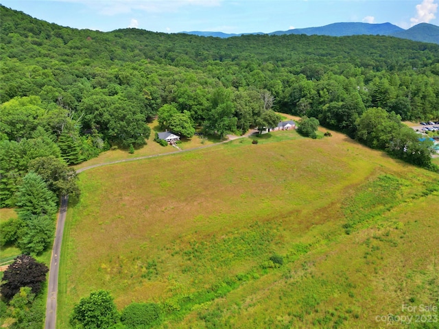 birds eye view of property with a mountain view