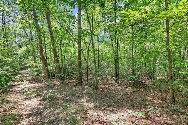 0000 White Pines Trce, Mill Spring, NC 28756 - photo 4