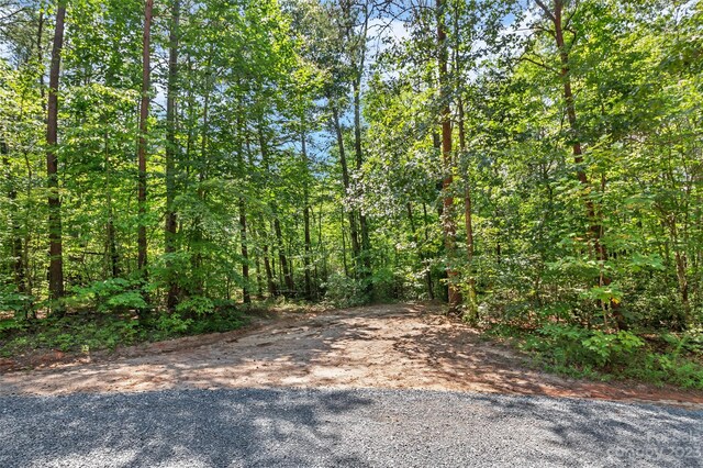 0000 White Pines Trce, Mill Spring, NC 28756 - photo 5