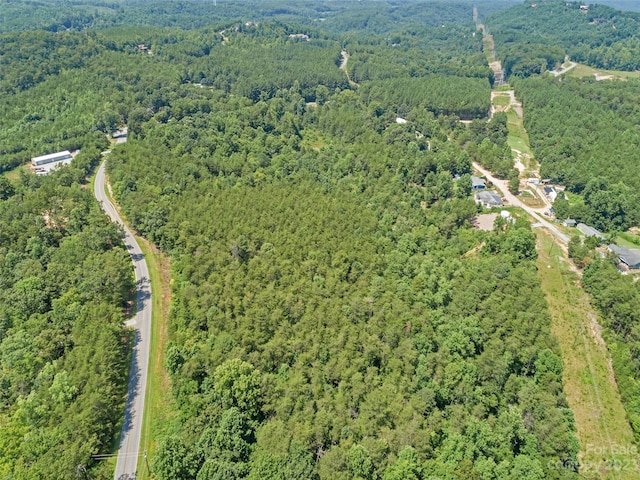 0000 White Pines Trce, Mill Spring, NC 28756 - photo 6