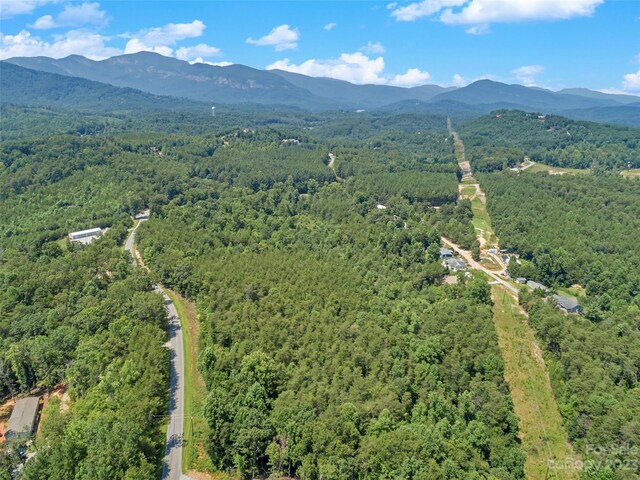 0000 White Pines Trce, Mill Spring, NC 28756 - photo 7