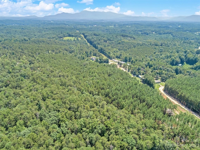 0000 White Pines Trce, Mill Spring, NC 28756 - photo 8