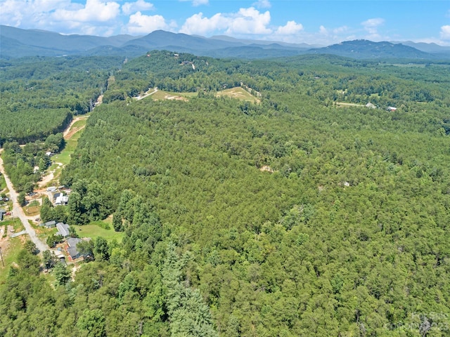 0000 White Pines Trce, Mill Spring, NC 28756 - photo 10
