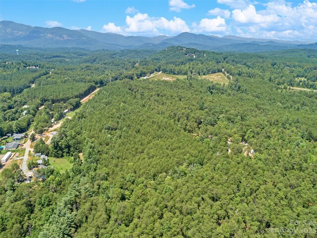 0000 White Pines Trce, Mill Spring, NC 28756 - photo 11