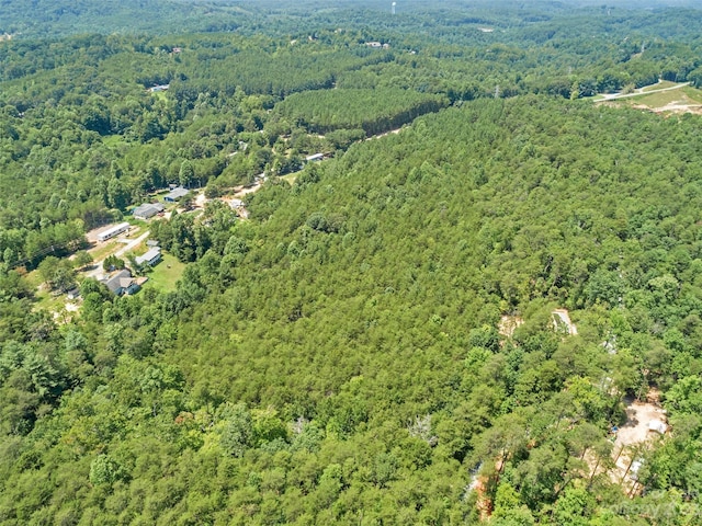 0000 White Pines Trce, Mill Spring, NC 28756 - photo 12