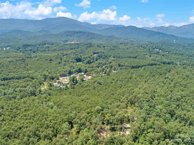 0000 White Pines Trce, Mill Spring, NC 28756 - photo 13