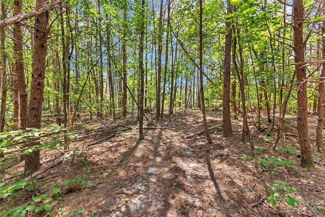 0000 White Pines Trce, Mill Spring, NC 28756 - photo 14