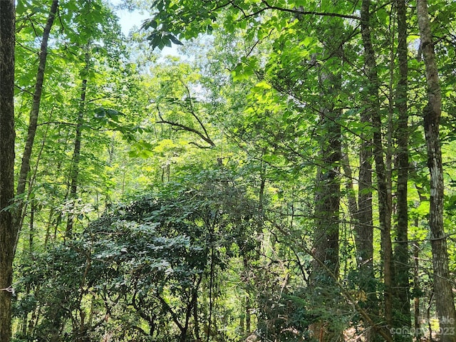 Listing photo 2 for LOT185 Weaver Ln, Lake Lure NC 28746