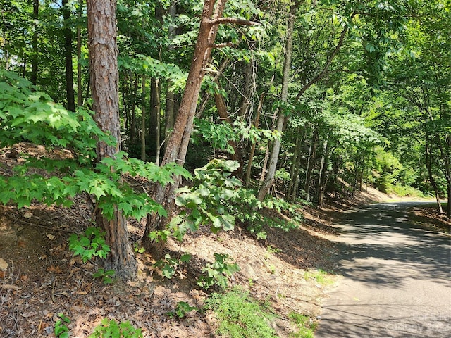 Listing photo 2 for LOT124, 125 Banjo Ct, Lake Lure NC 28746