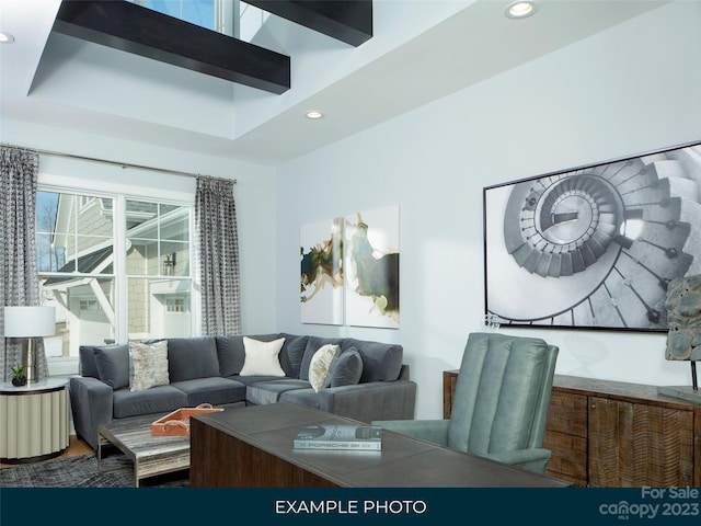 living room with a raised ceiling