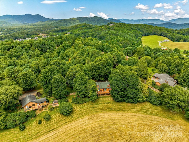 bird's eye view with a mountain view