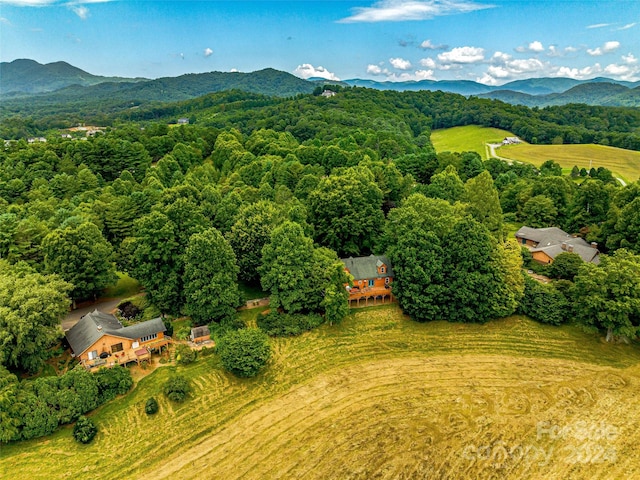 birds eye view of property featuring a mountain view