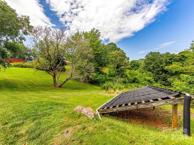 703 Crestview Dr, Leicester, NC 28748 - photo 21