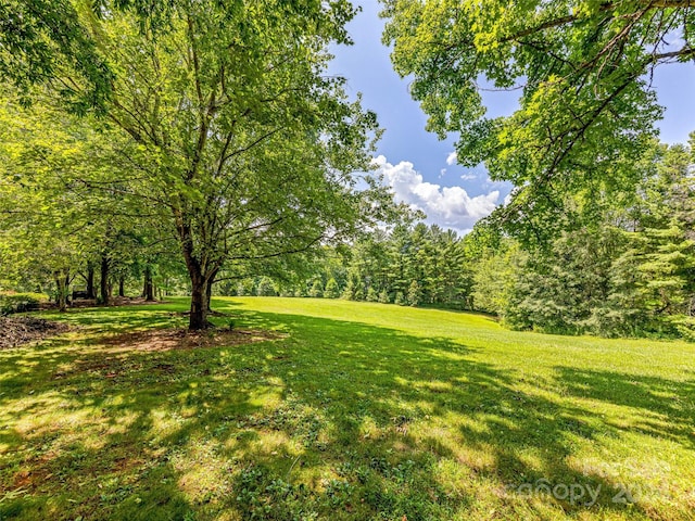 703 Crestview Dr, Leicester, NC 28748 - photo 22