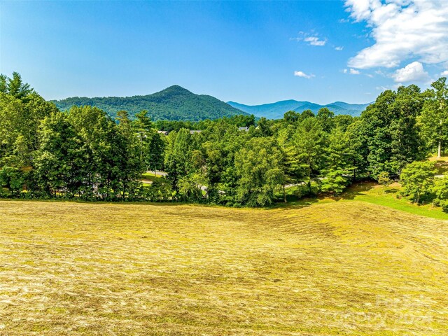 703 Crestview Dr, Leicester, NC 28748 - photo 32