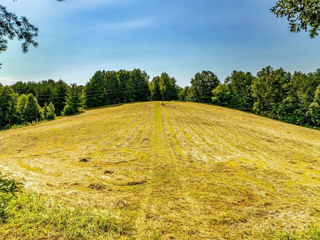 703 Crestview Dr, Leicester, NC 28748 - photo 46