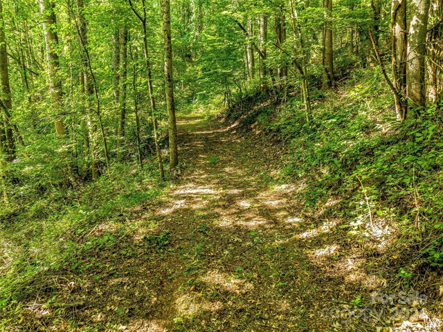 703 Crestview Dr, Leicester, NC 28748 - photo 47