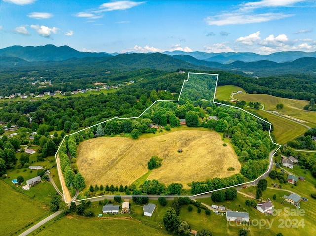 703 Crestview Dr, Leicester, NC 28748 - photo 48