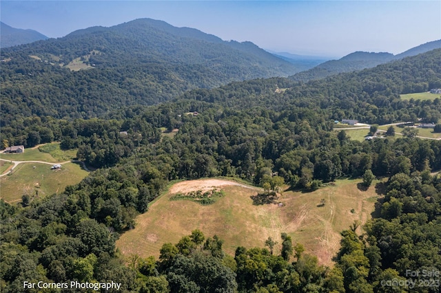 birds eye view of property featuring a mountain view