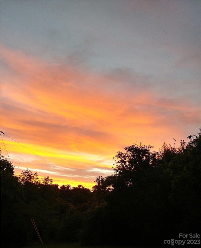 view of nature at dusk