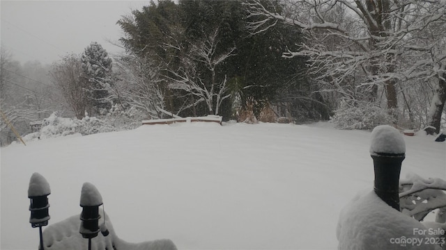 view of yard covered in snow