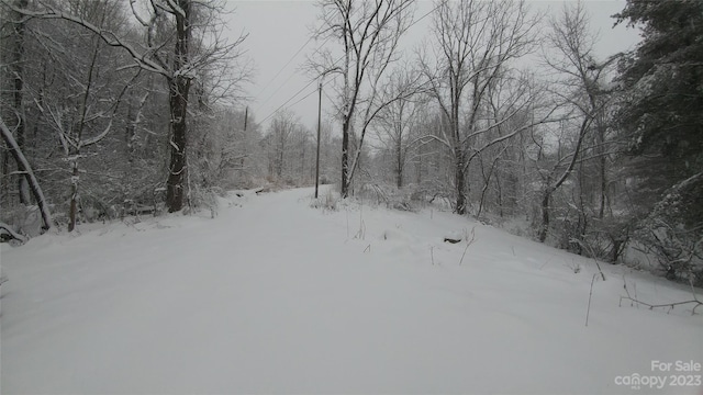 view of yard layered in snow