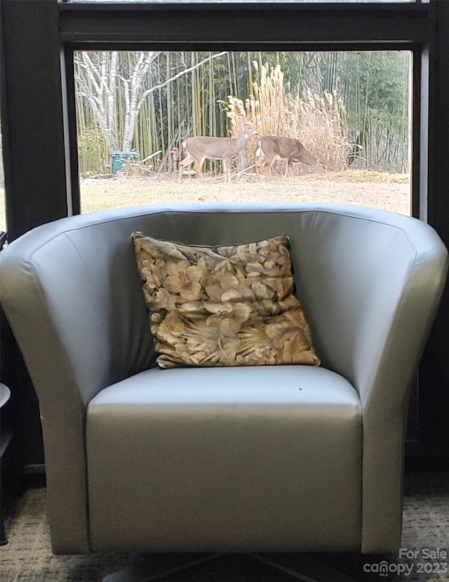 sitting room with carpet
