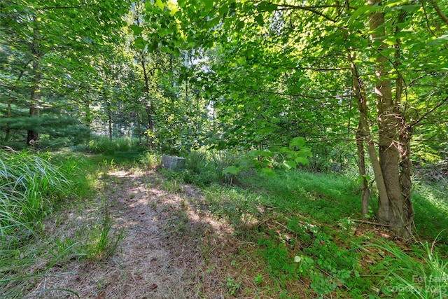 view of nature
