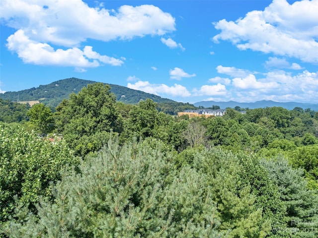 view of property view of mountains