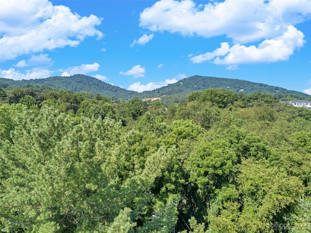 view of mountain feature