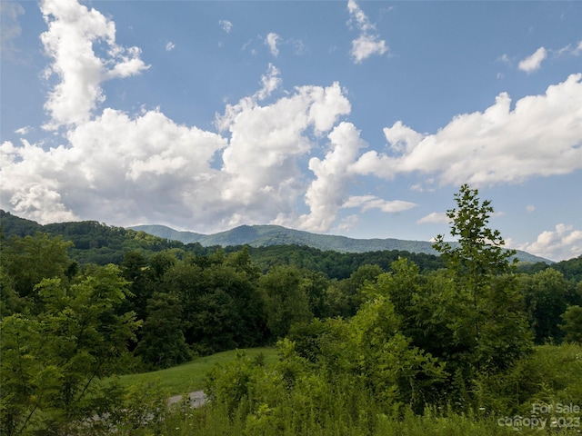 Listing photo 2 for 00 Skyland Dr, Waynesville NC 28786