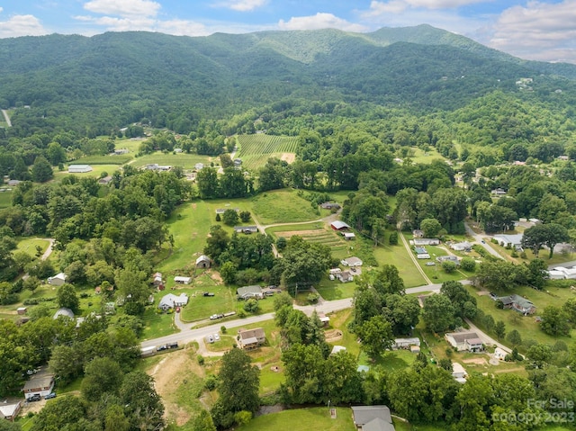 birds eye view of property with a mountain view