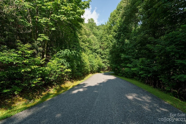 317 Boundary Tree Pass Unit 14, Arden, NC 28704