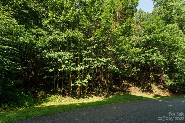 317 Boundary Tree Pass Unit 14, Arden, NC 28704