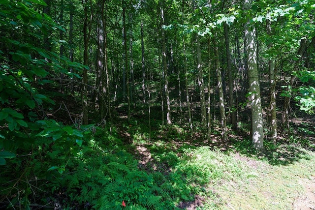317 Boundary Tree Pass Unit 14, Arden, NC 28704