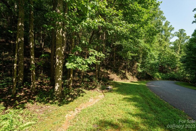 317 Boundary Tree Pass Unit 14, Arden, NC 28704