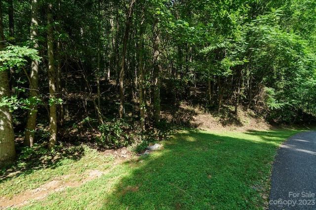 317 Boundary Tree Pass Unit 14, Arden, NC 28704