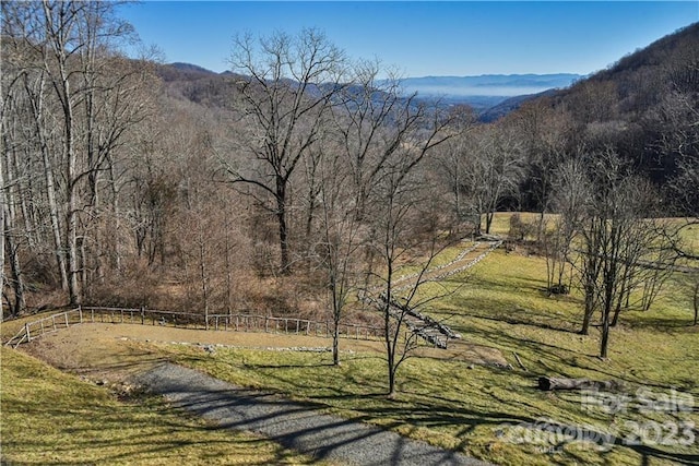 view of mountain feature