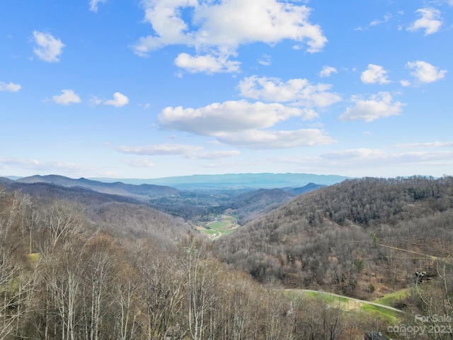 view of mountain feature