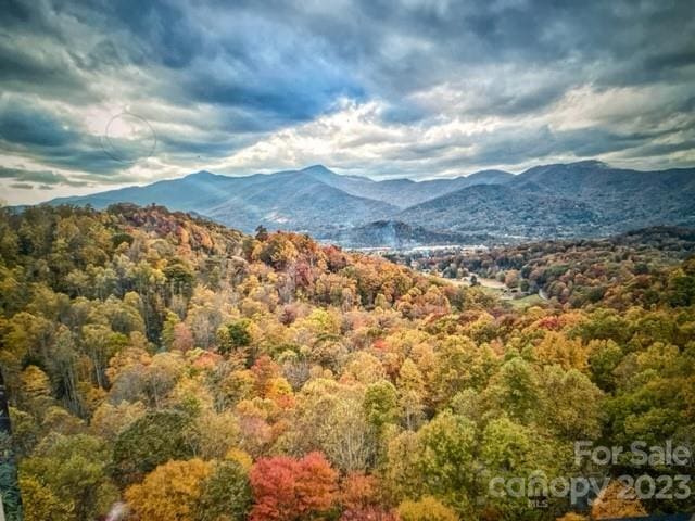 7 Cliff Ln Unit 17, Waynesville NC, 28786 land for sale