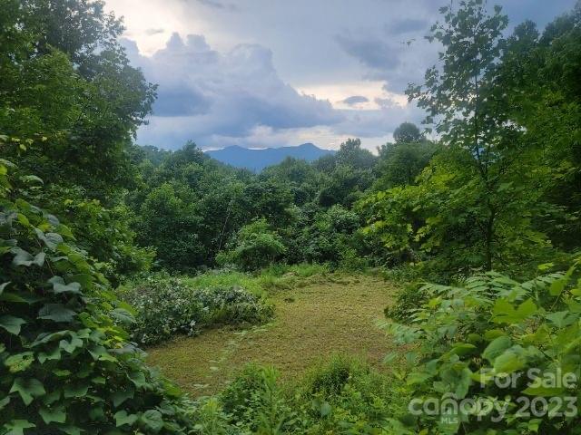 Listing photo 3 for 7 Cliff Ln Unit 17, Waynesville NC 28786