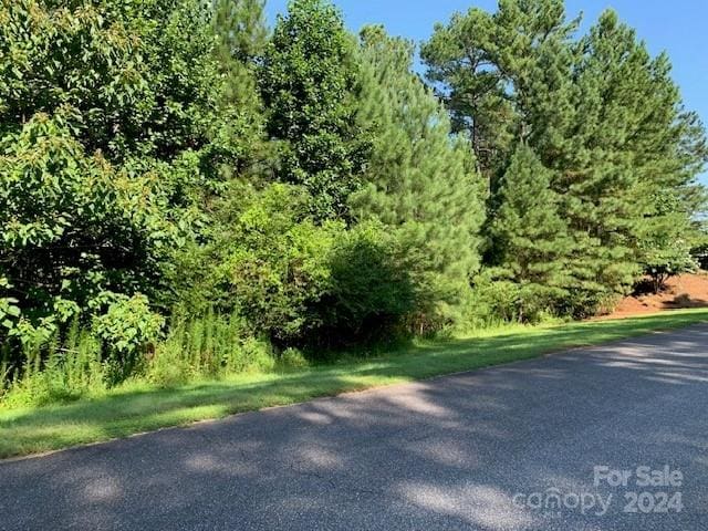 301 Harbor Watch Dr, Connelly Springs, NC 28612 - photo 5