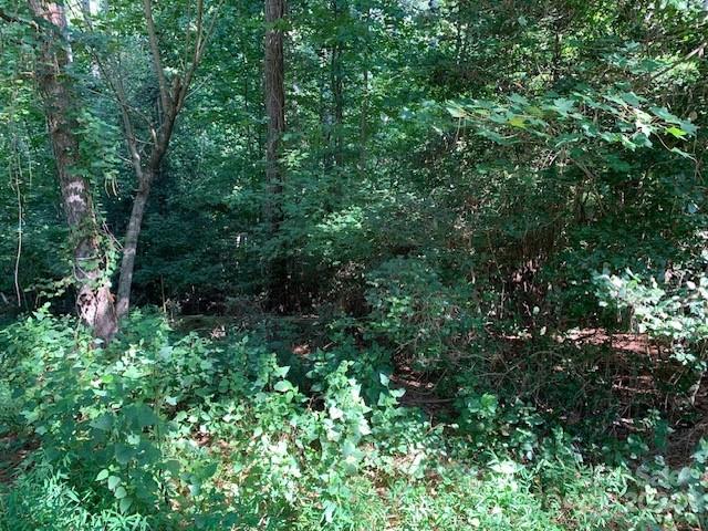 301 Harbor Watch Dr, Connelly Springs, NC 28612 - photo 6