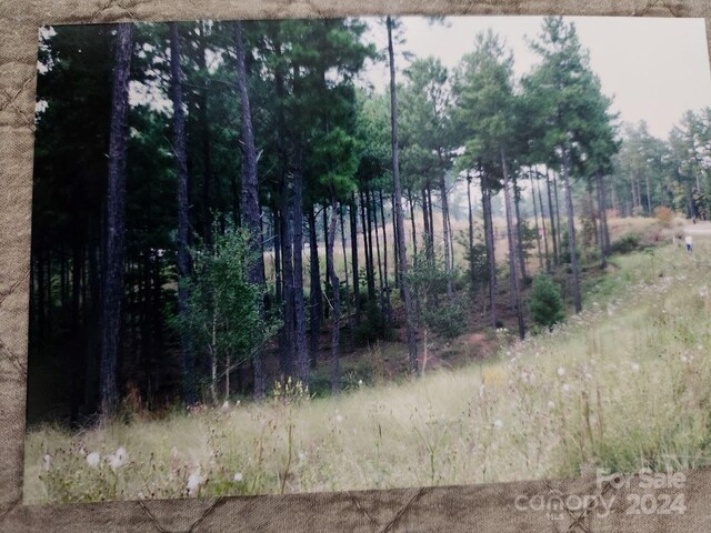 301 Harbor Watch Dr, Connelly Springs, NC 28612 - photo 11